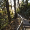 The Truth About Advocacy Organizations in Western Oregon