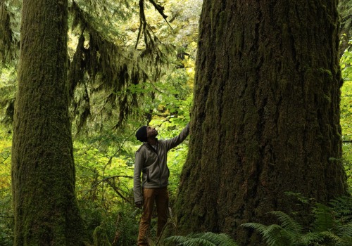 Promoting Diversity and Inclusion in Western Oregon